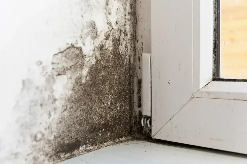Restoring Safety and Comfort to Your Property — Centennial, CO